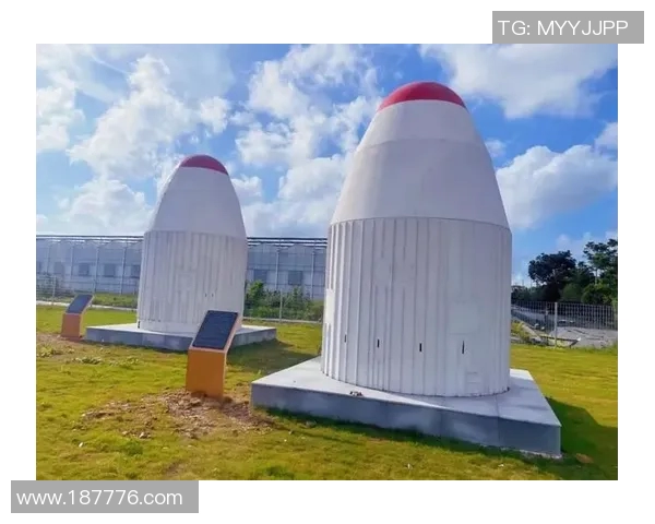 杭州飞盘队技术表现分析与数据洞察探讨