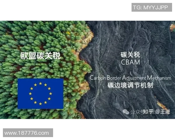 碳边境税或成为欧盟重要工具,CBAM有望加速应对气候变化 碳边境税或成为欧盟重要工具,CBAM有望加速应对气候变化